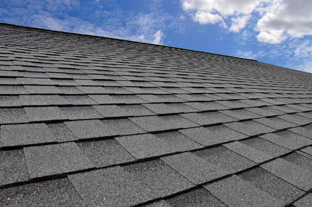 Best Roof Maintenance and Cleaning  in East Providence, RI